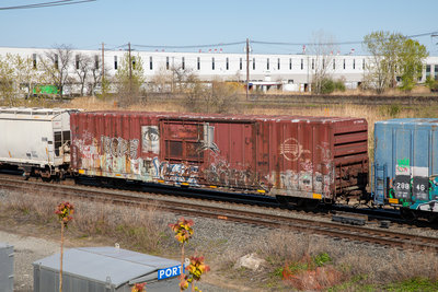 MP 794695