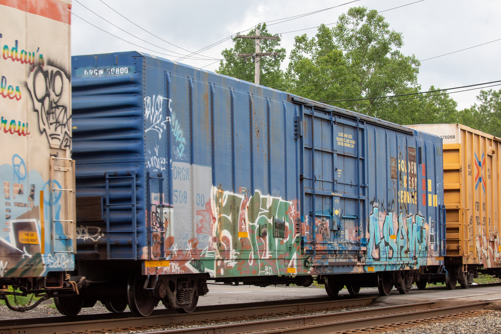 DRGW 50800
