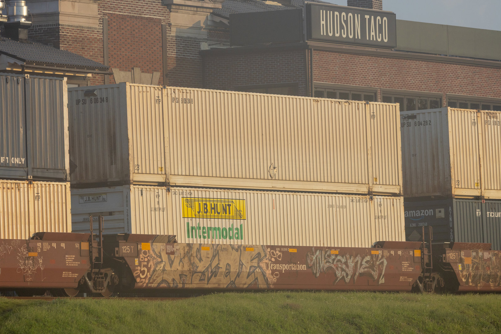 AOK 55355C