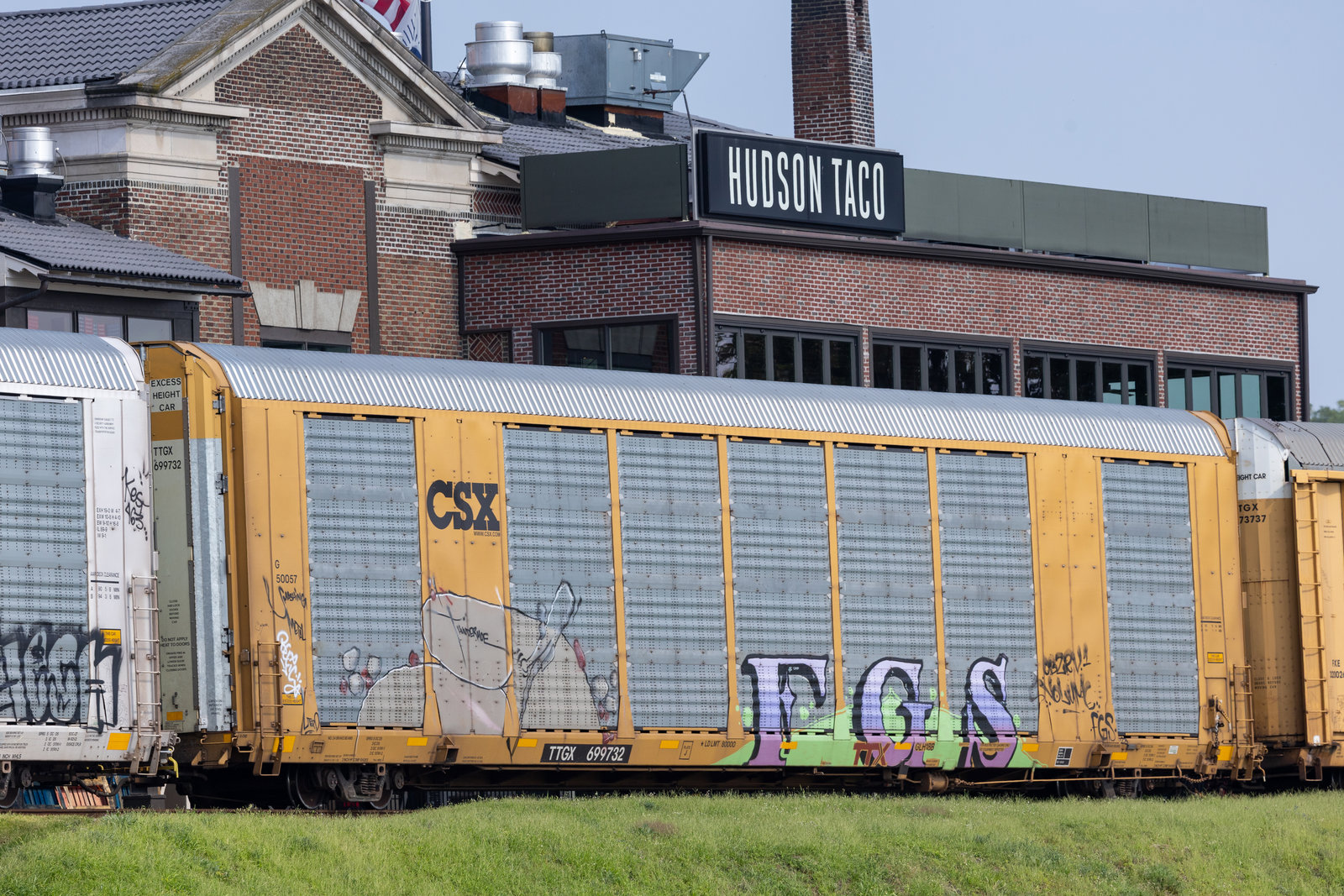 TTGX 699732