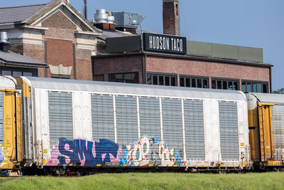 TTGX 698359