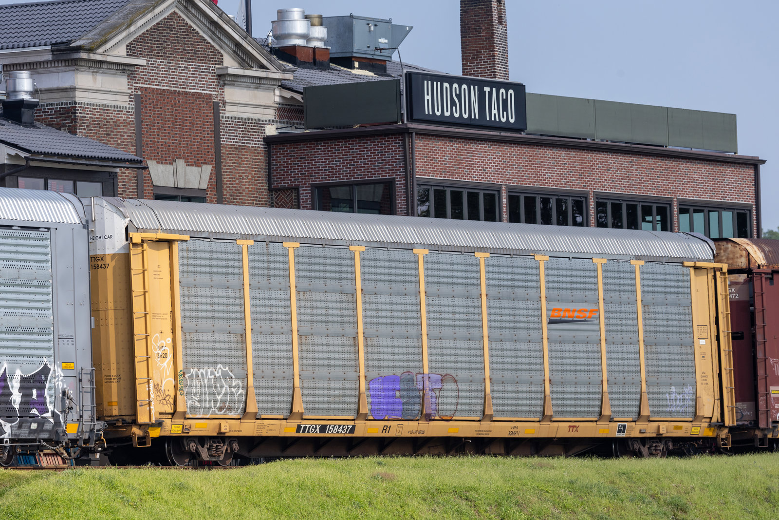 TTGX 158437
