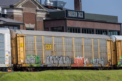 TTGX 991976