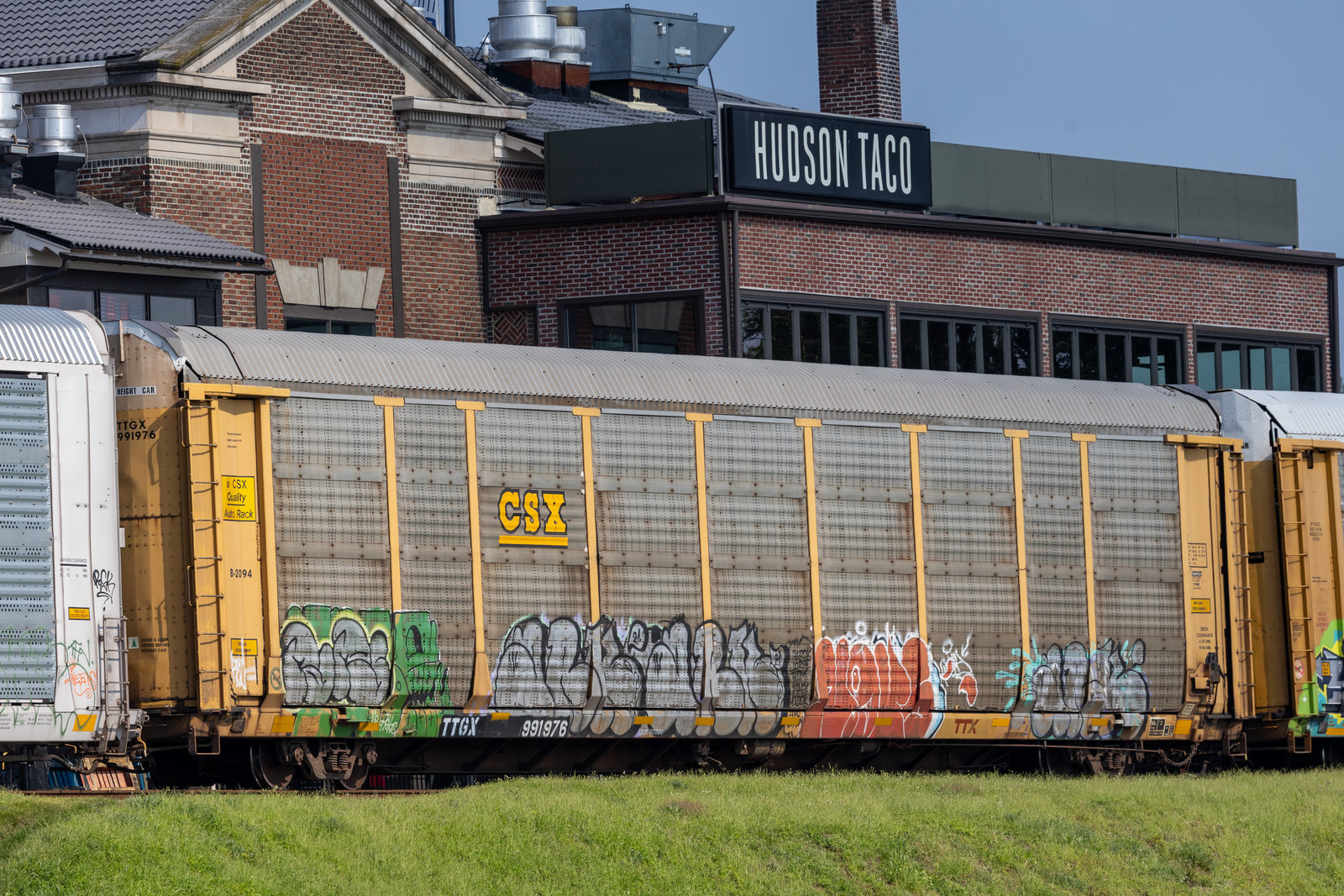 TTGX 991976