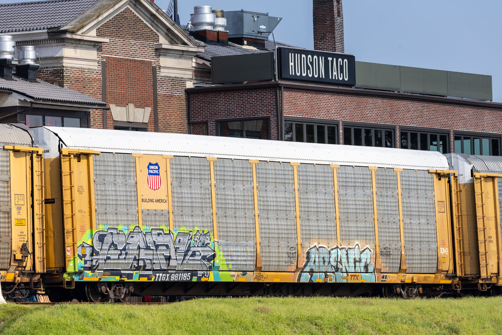 TTGX 981185