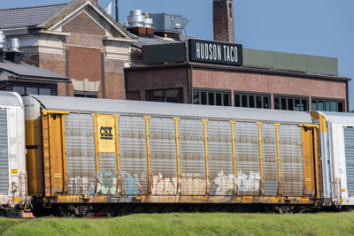 TTGX 990493