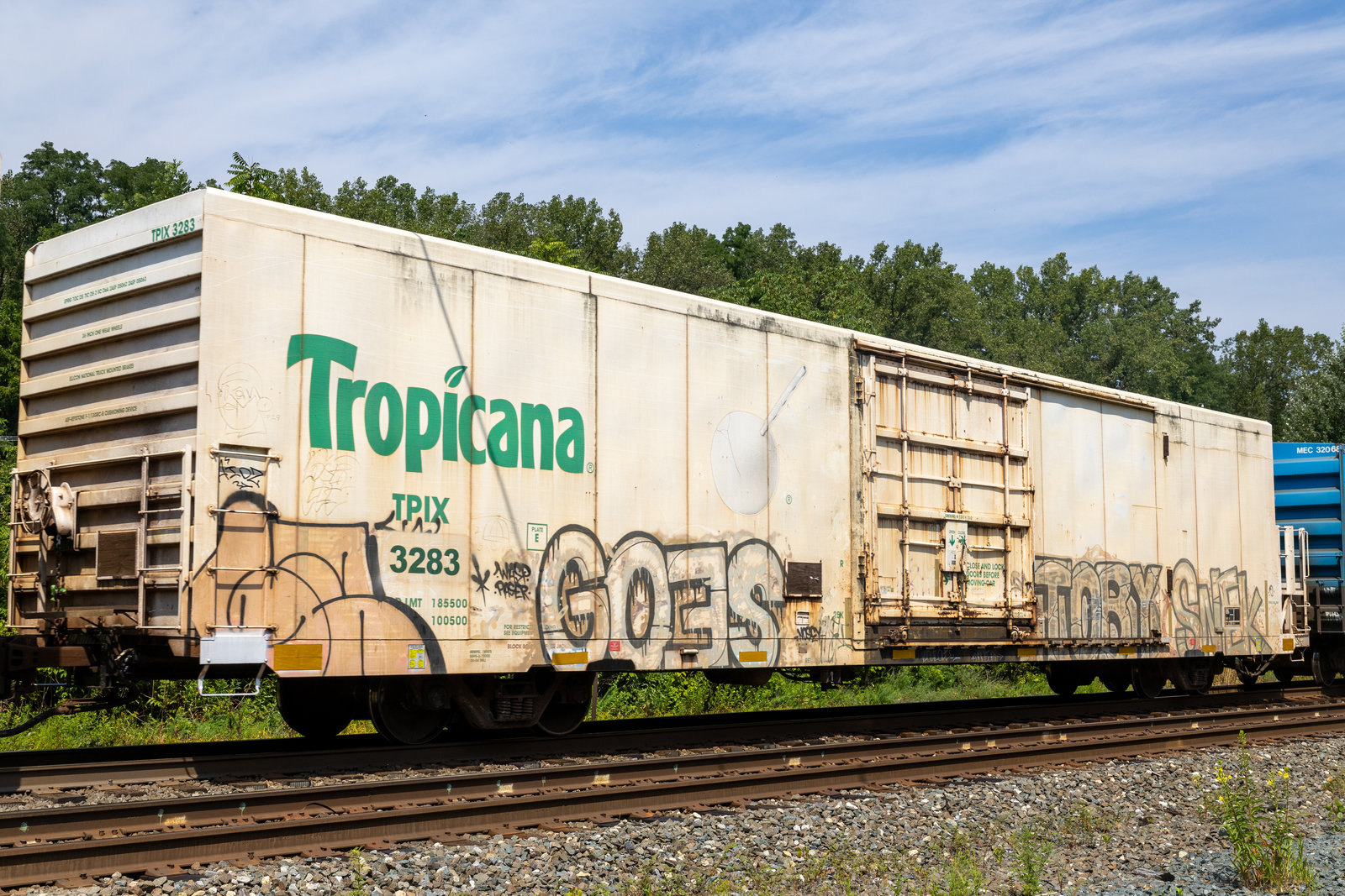 TPIX 3283