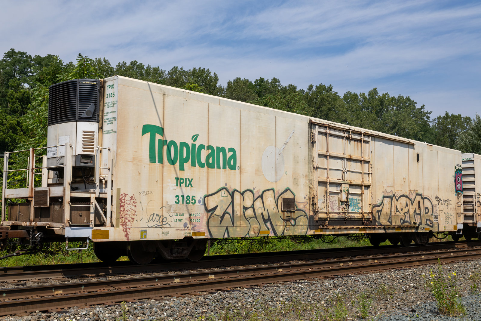 TPIX 3185