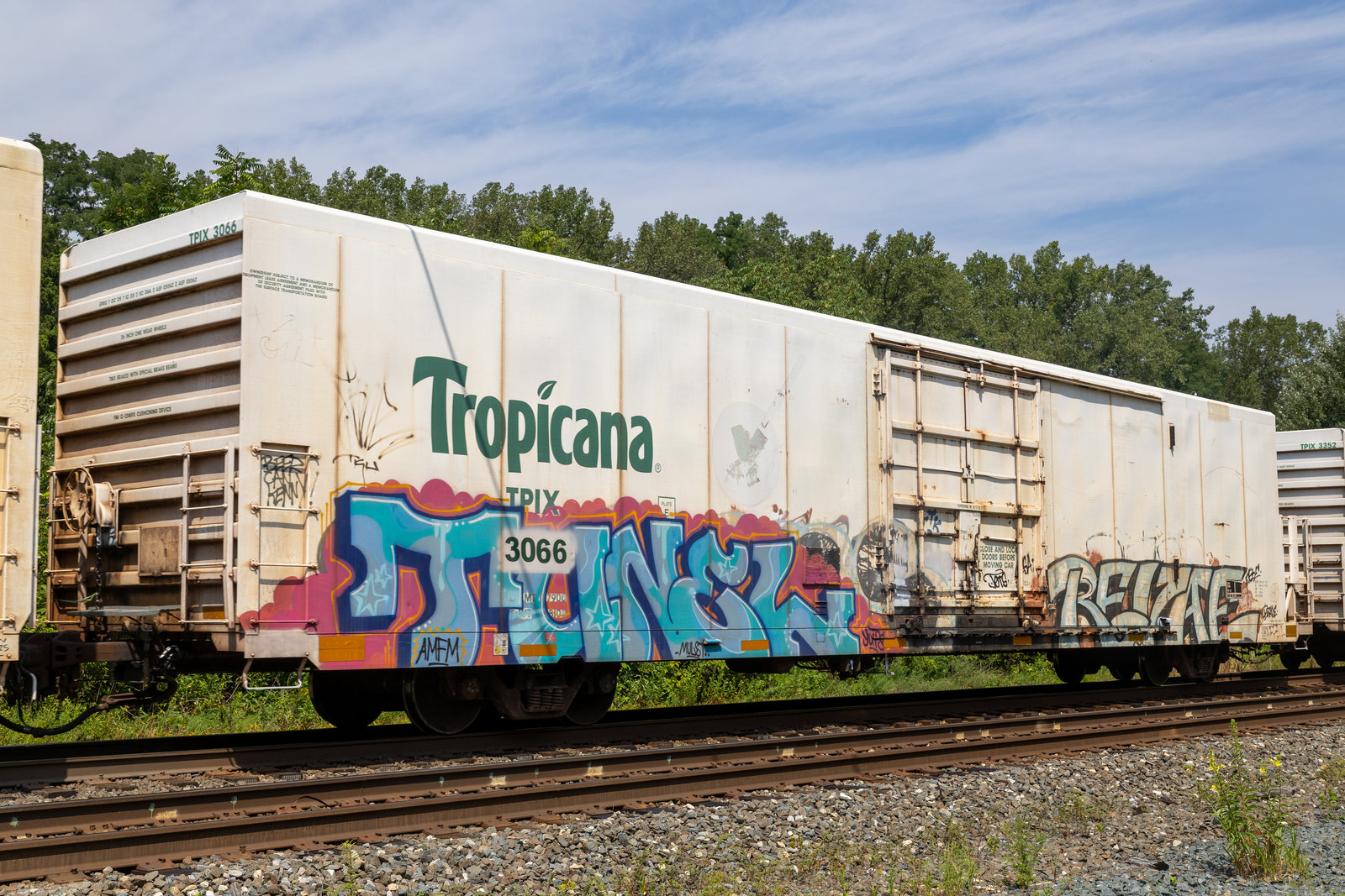 TPIX 3066
