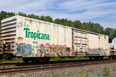TPIX 3184