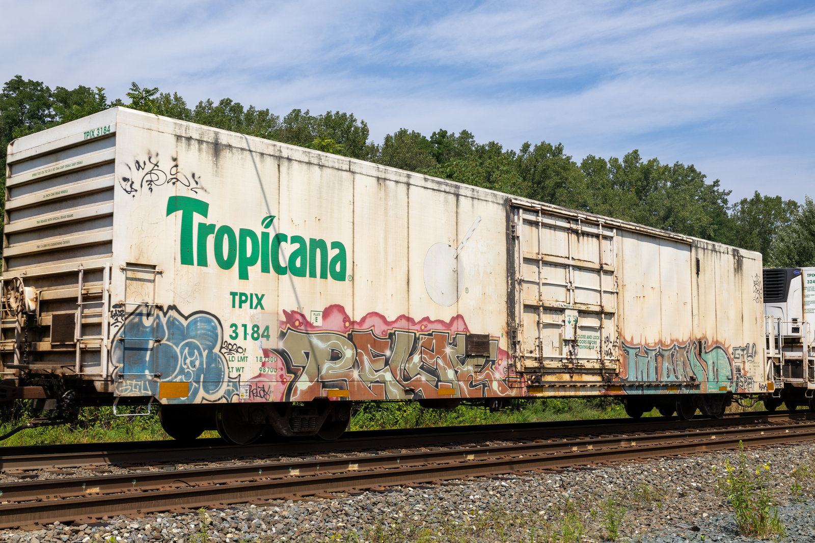 TPIX 3184