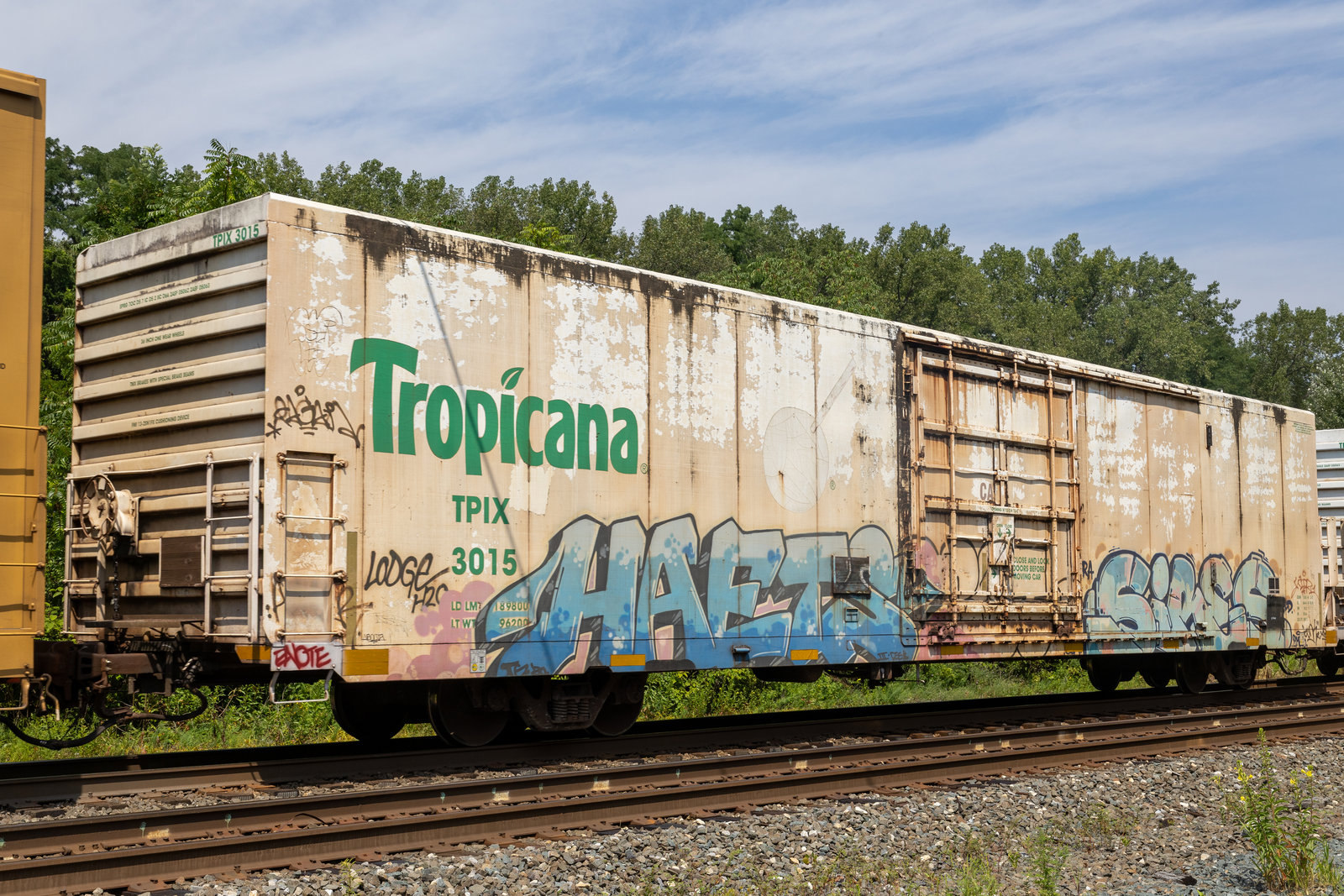TPIX 3015