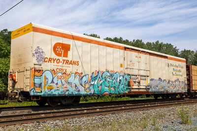 CRYX 6236