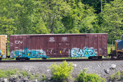 DWC 794383