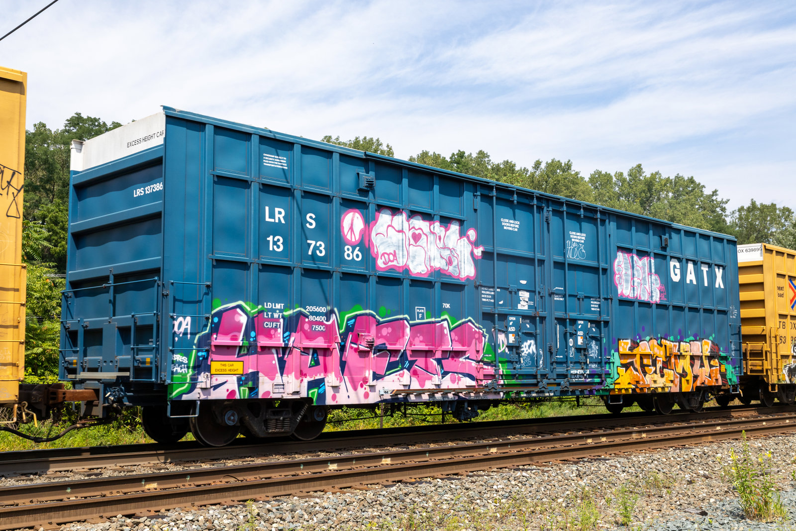 LRS 137386