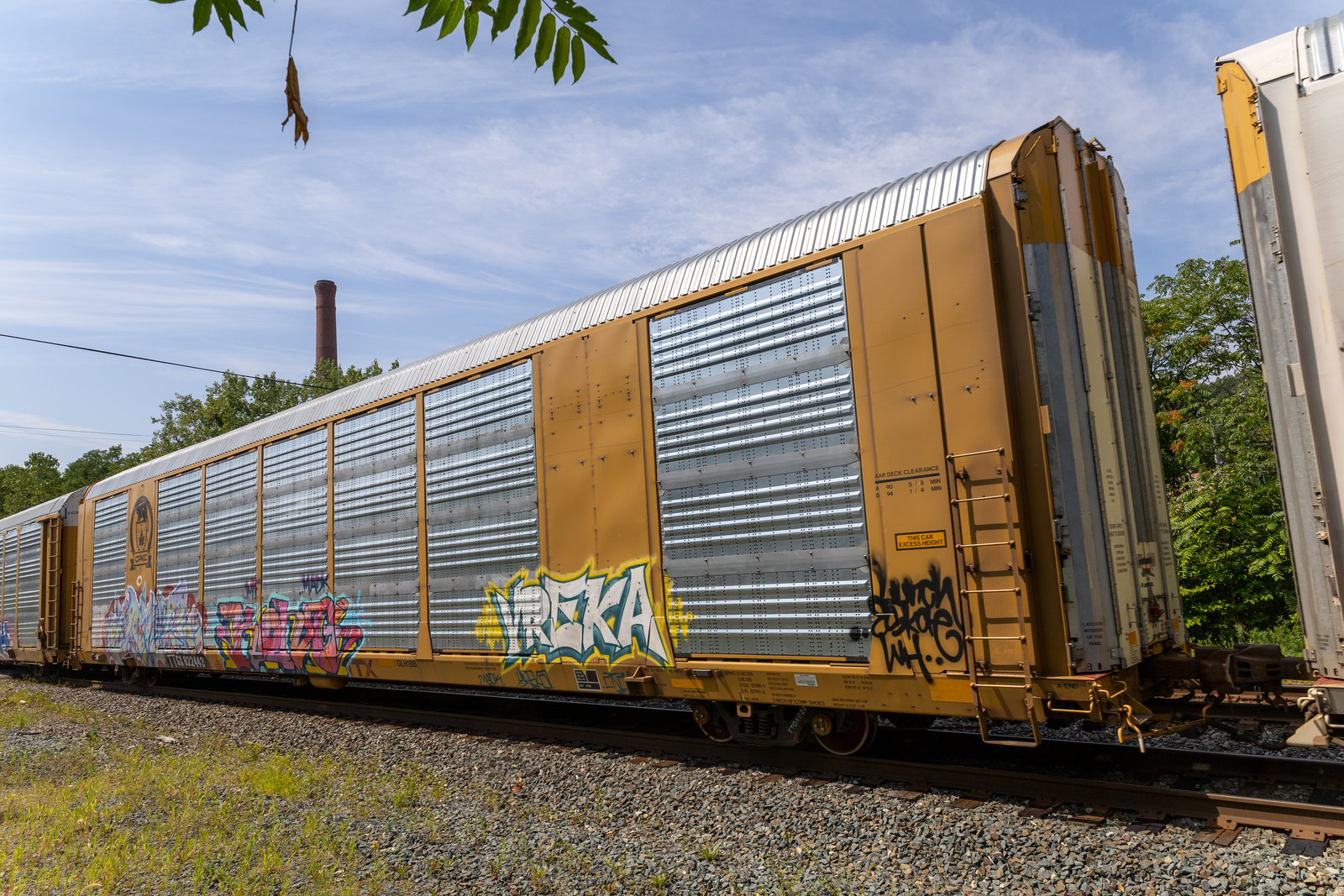 TTGX 822443
