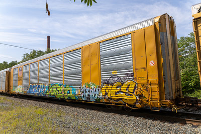 TTGX 699446