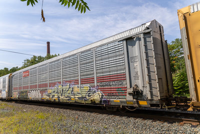 TTGX 706857