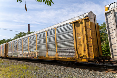 TTGX 706998