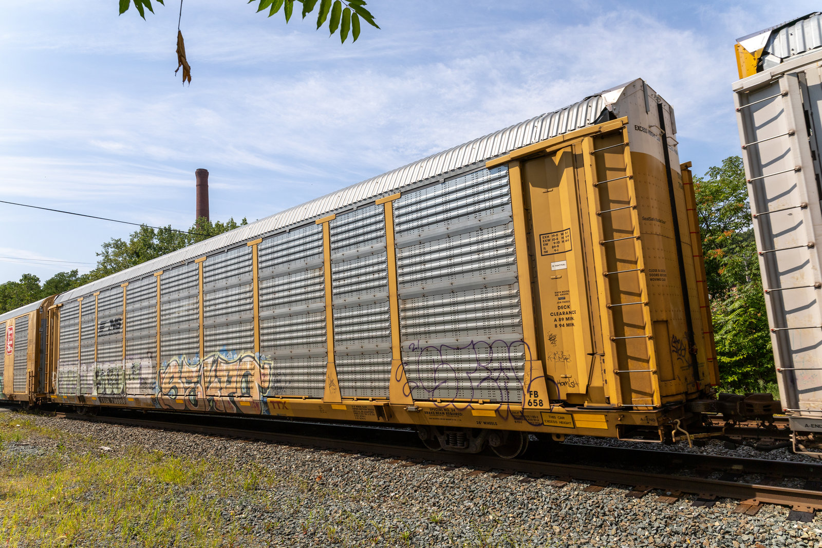 TTGX 706998