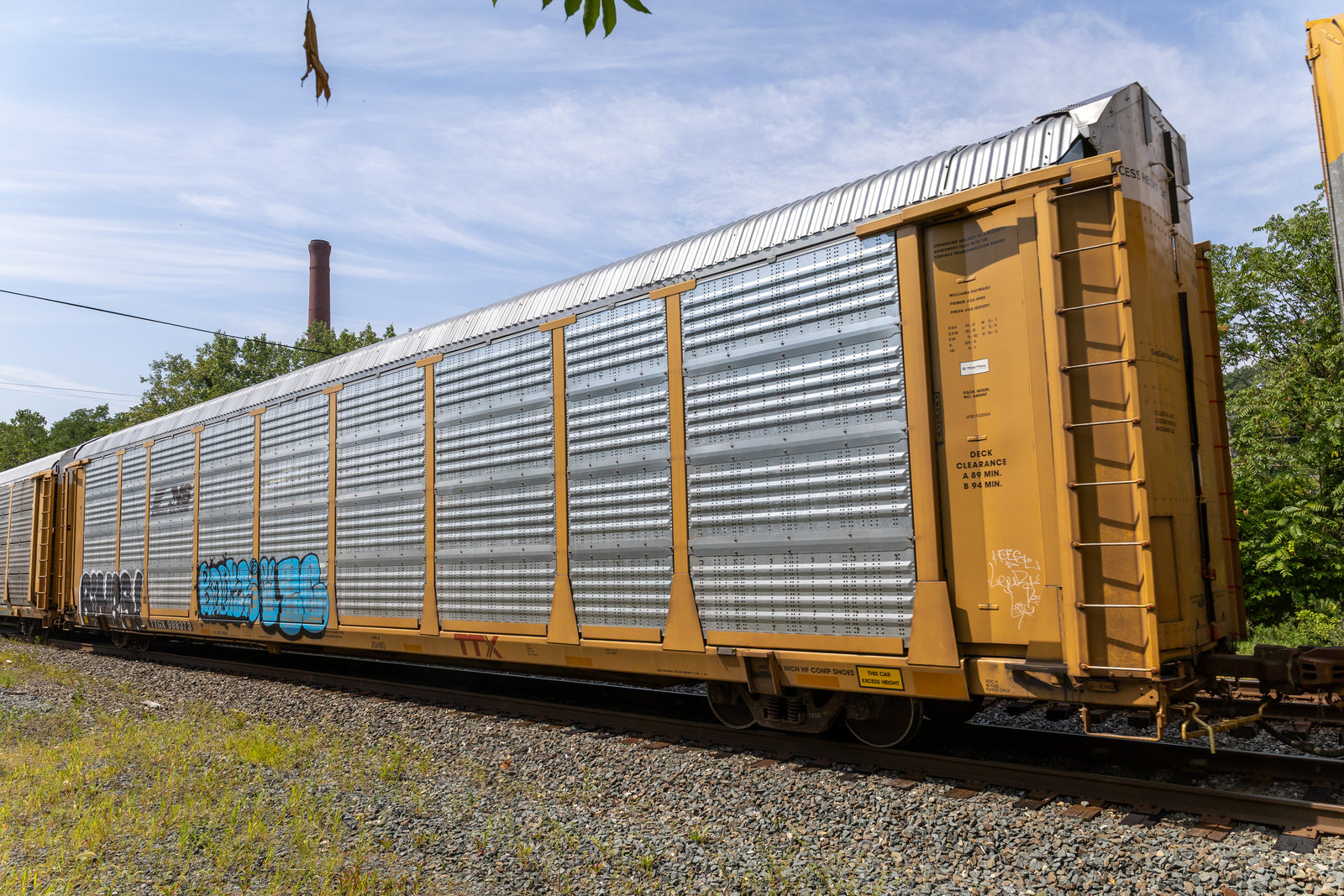 TTGX 988373