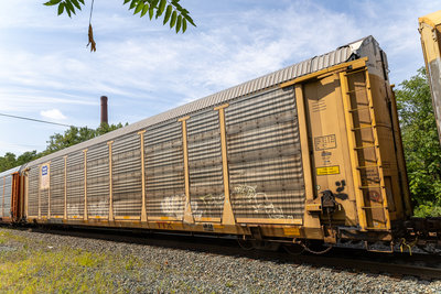 TTGX 985782