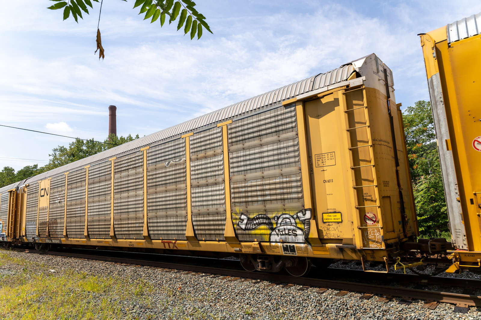 TTGX 981841