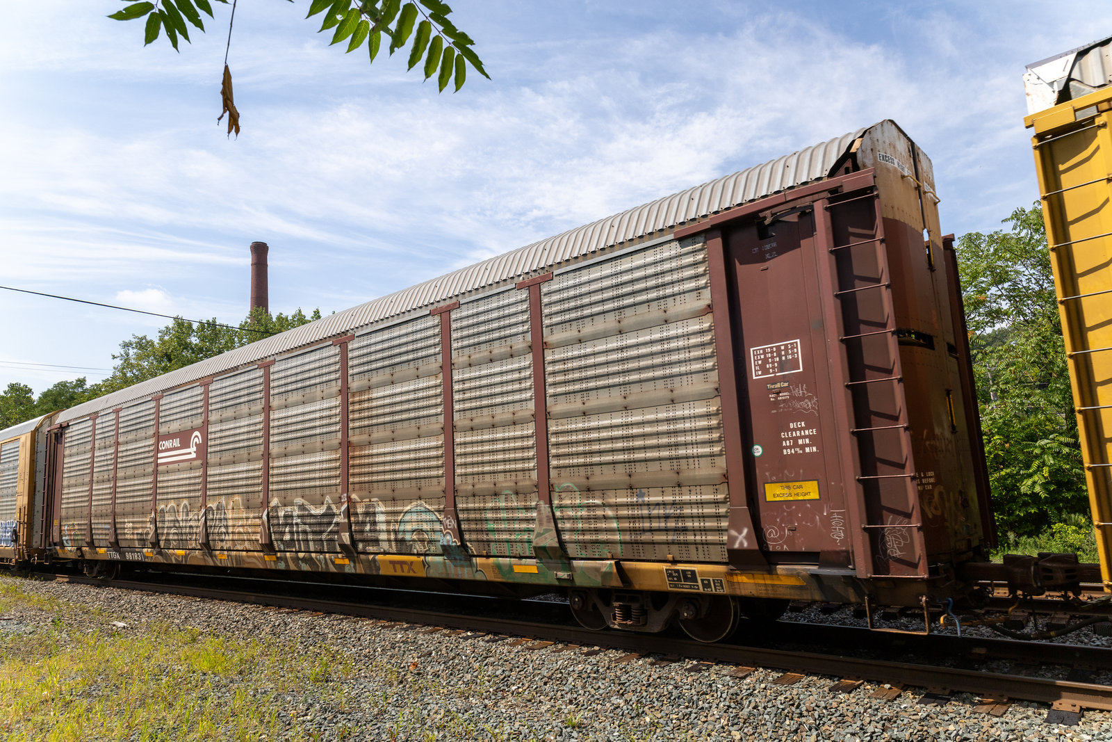 TTGX 981831