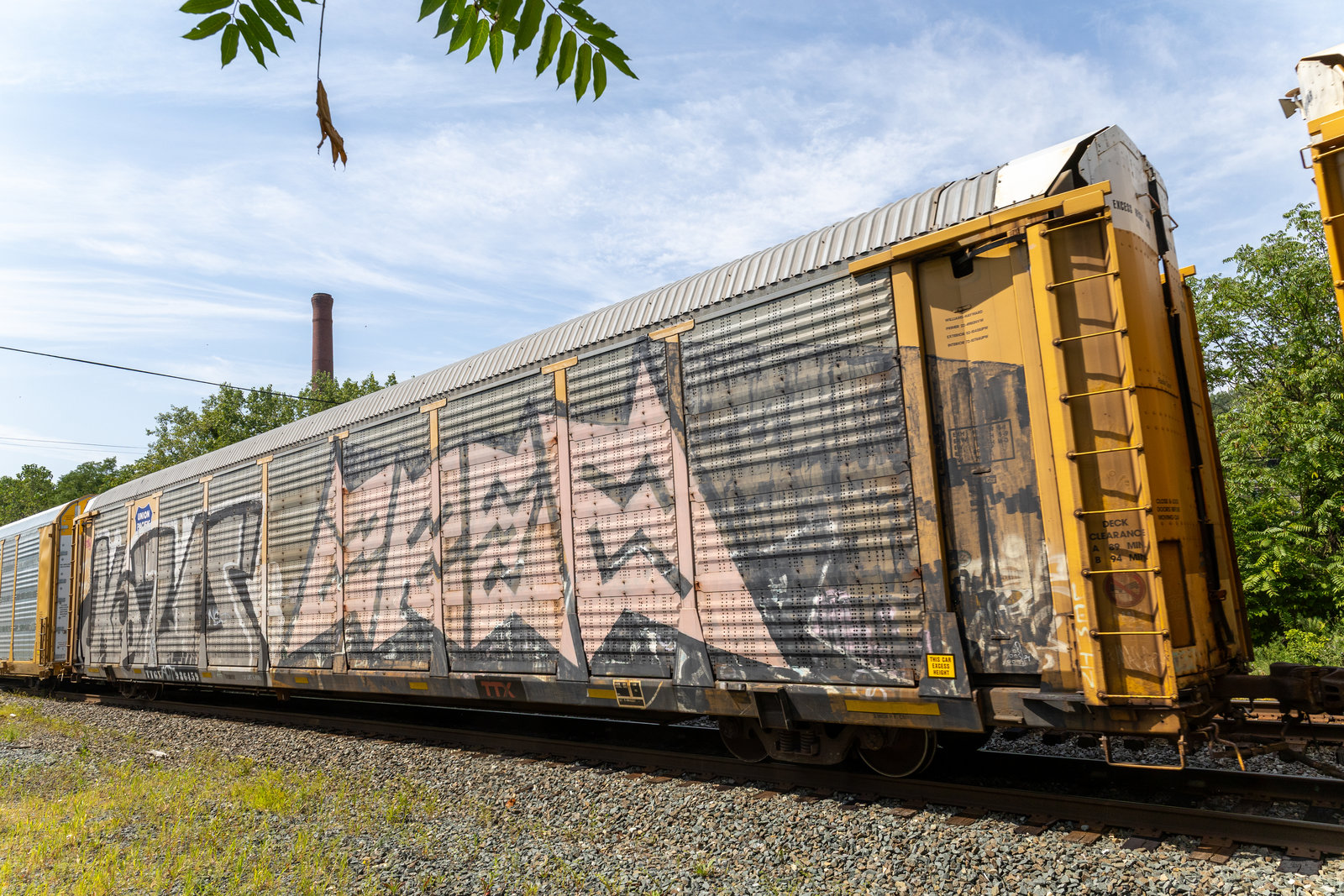 TTGX 986459