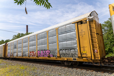 TTGX 159478