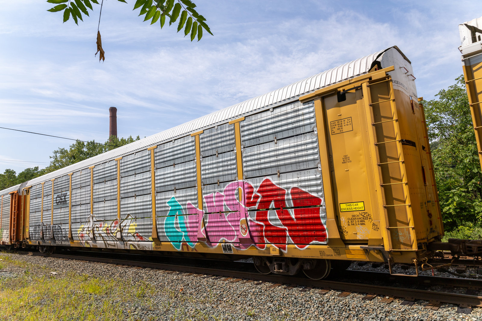 TTGX 964984