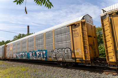 TTGX 973655