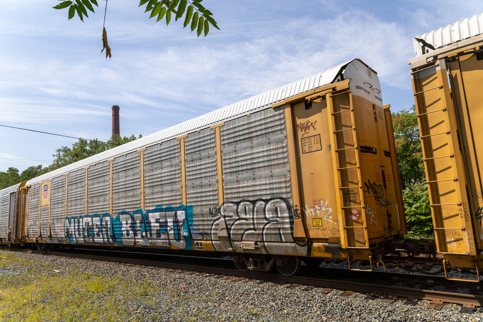 TTGX 973655
