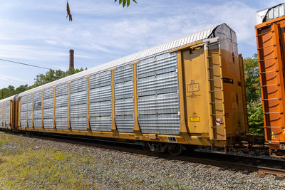 TTGX 973771
