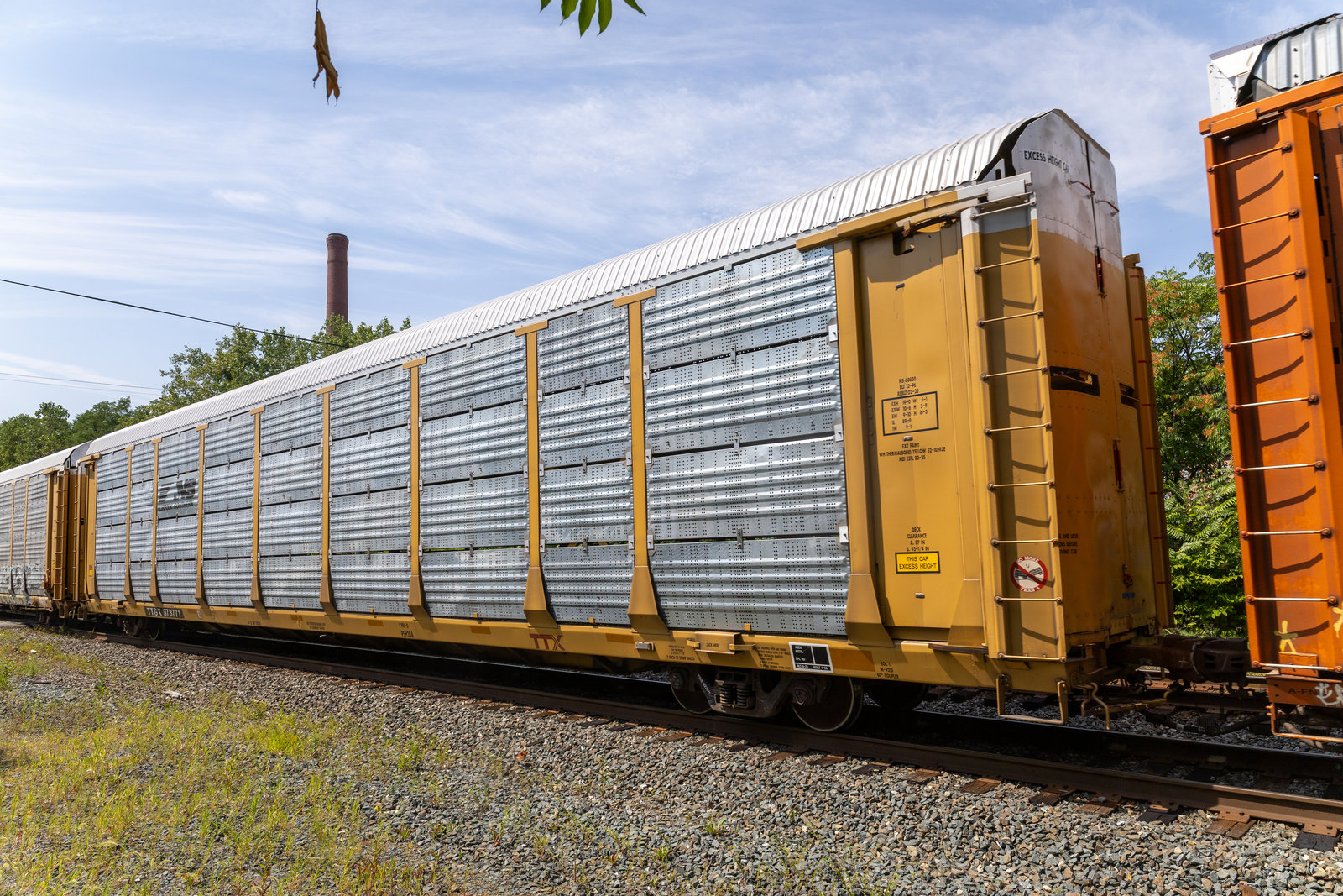 TTGX 973771
