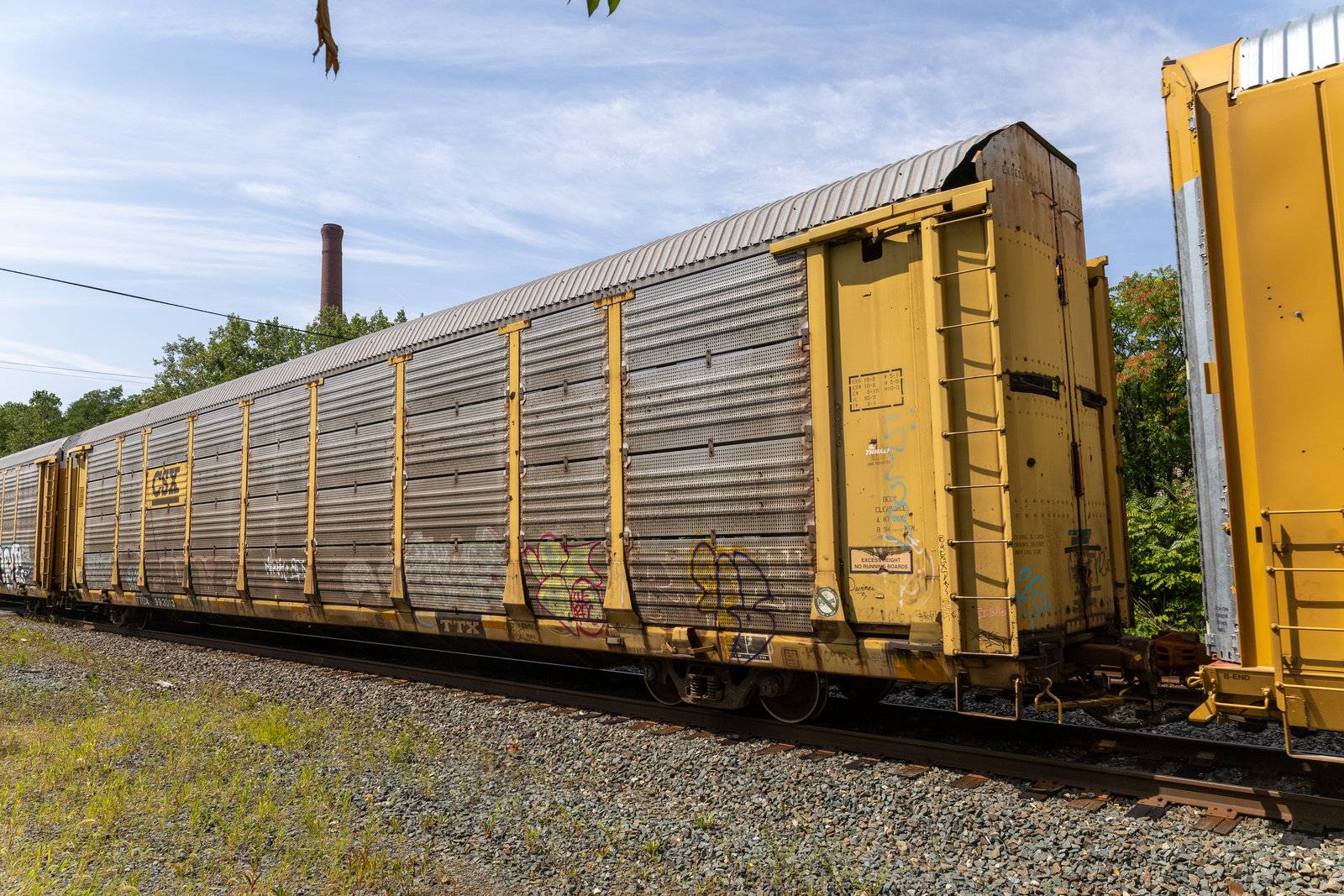 TTGX 993013