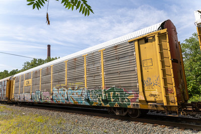CNA 712495