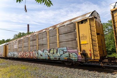 CP 542654