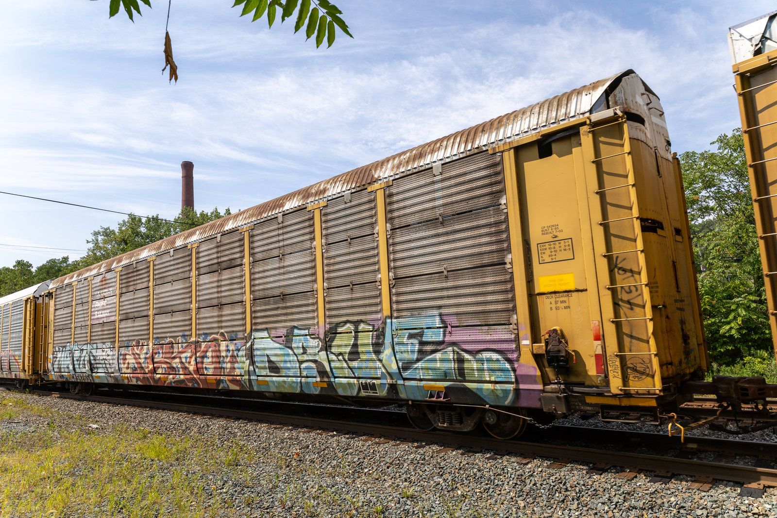 CP 542654