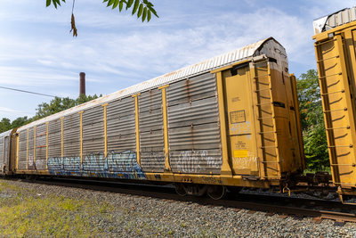 CP 542666