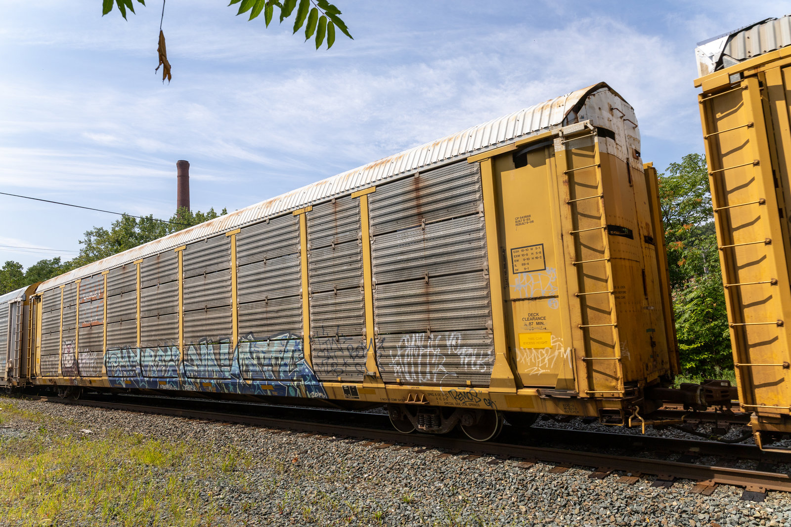 CP 542666