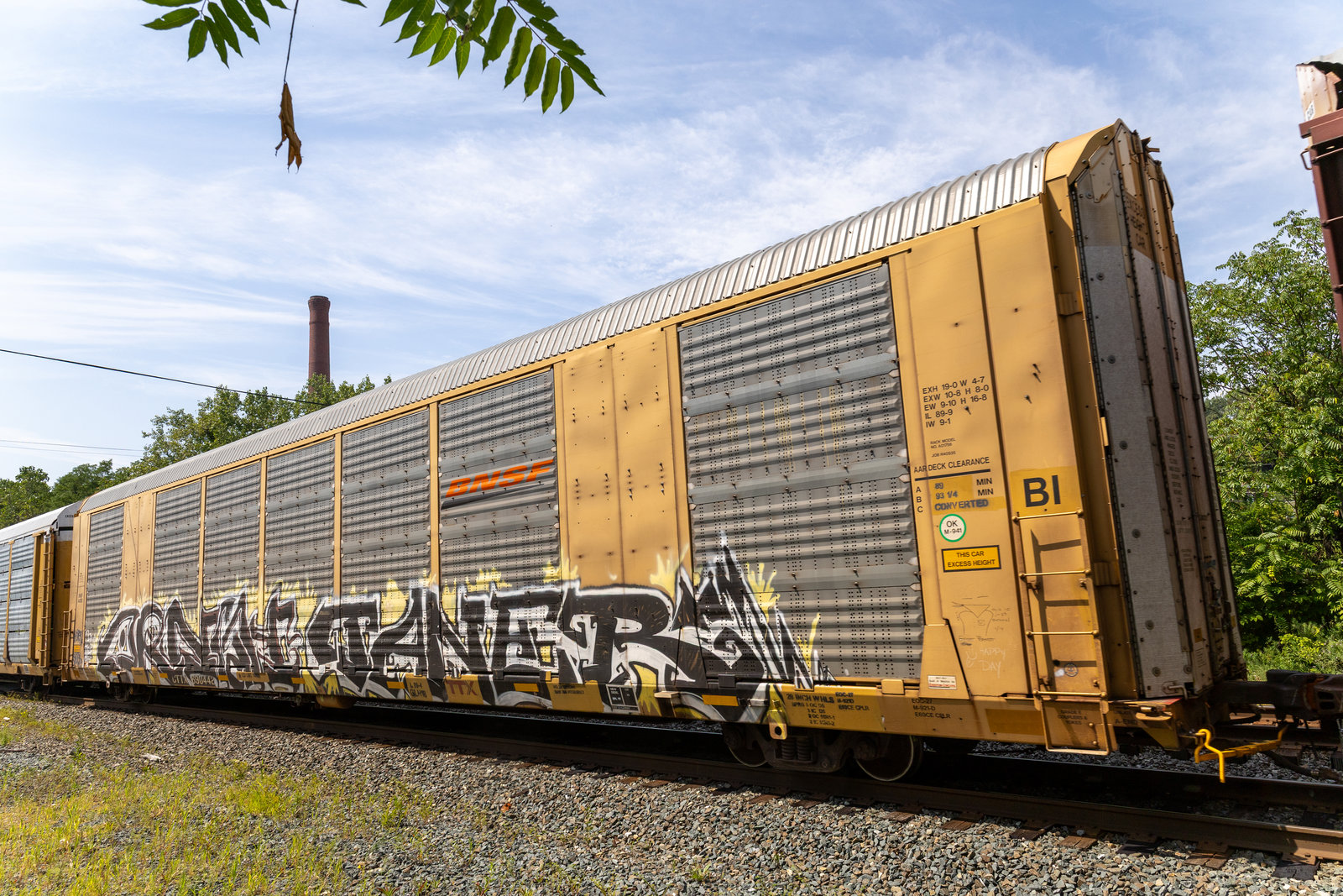 CTTX 690442