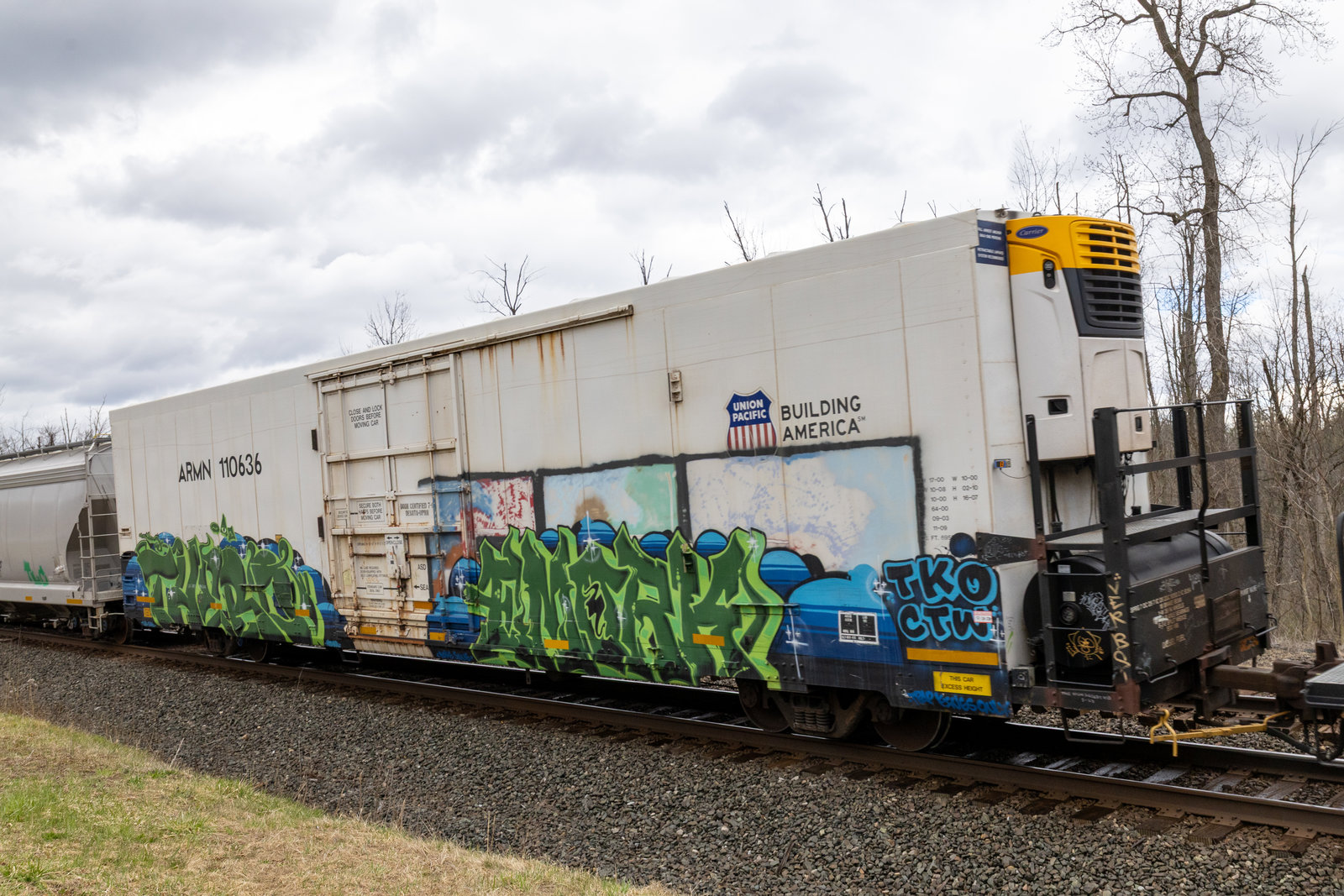 ARMN 110636