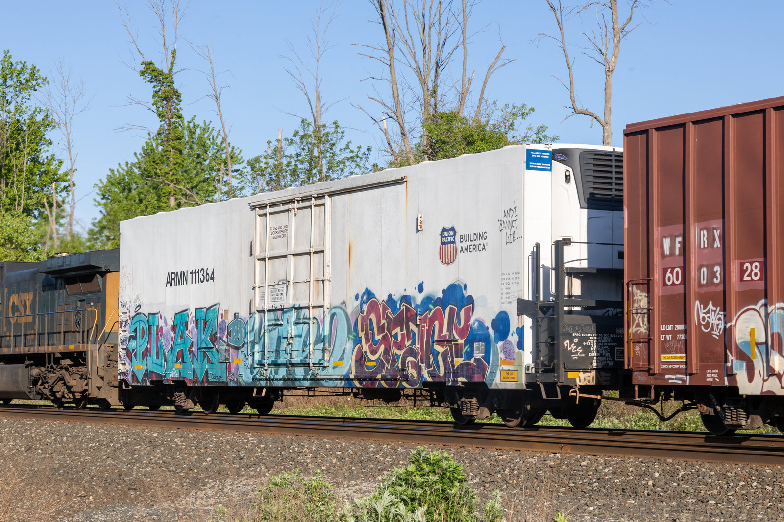 ARMN 111364