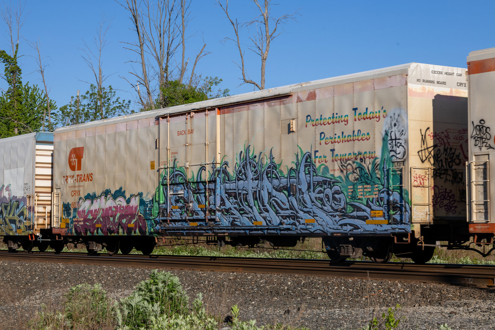 CRYX 6034