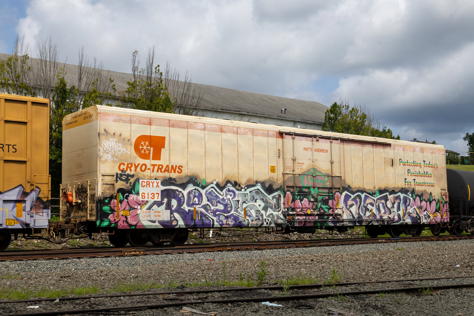 CRYX 6137