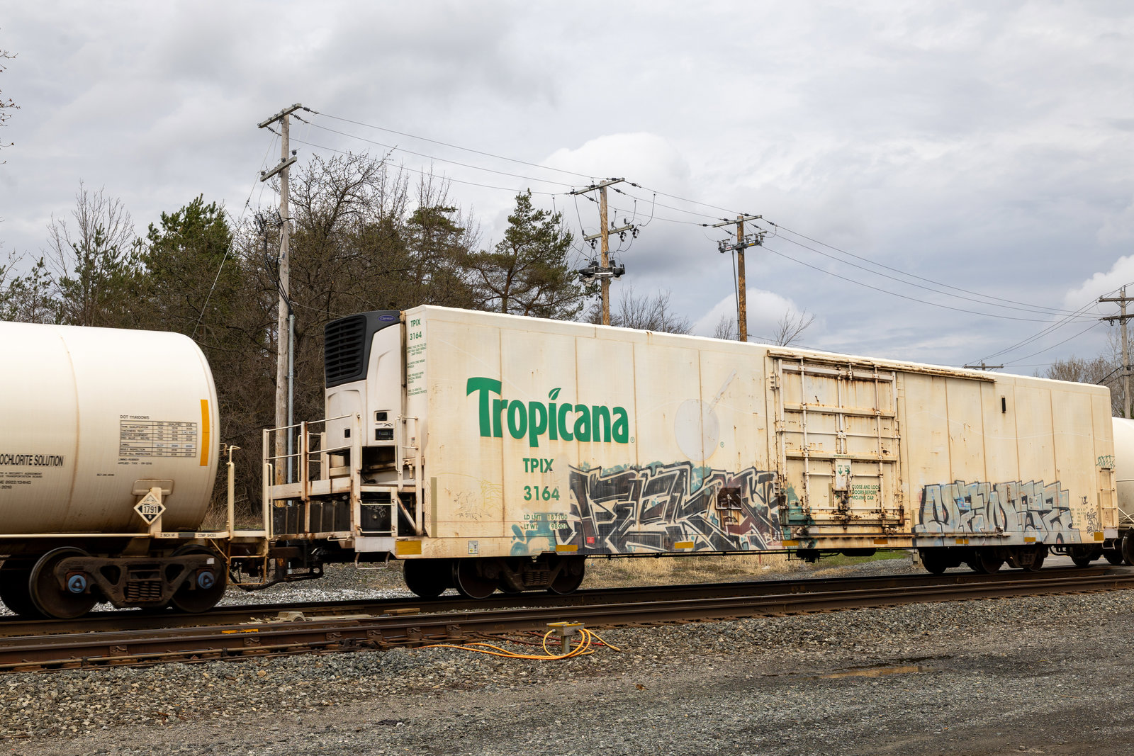 TPIX 3164