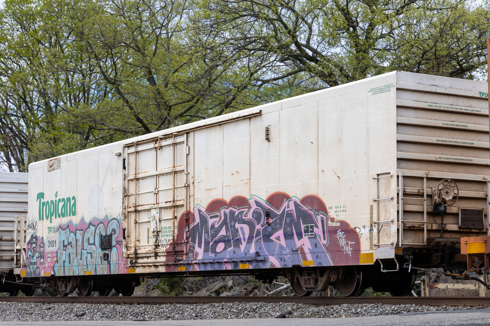 TPIX 3101