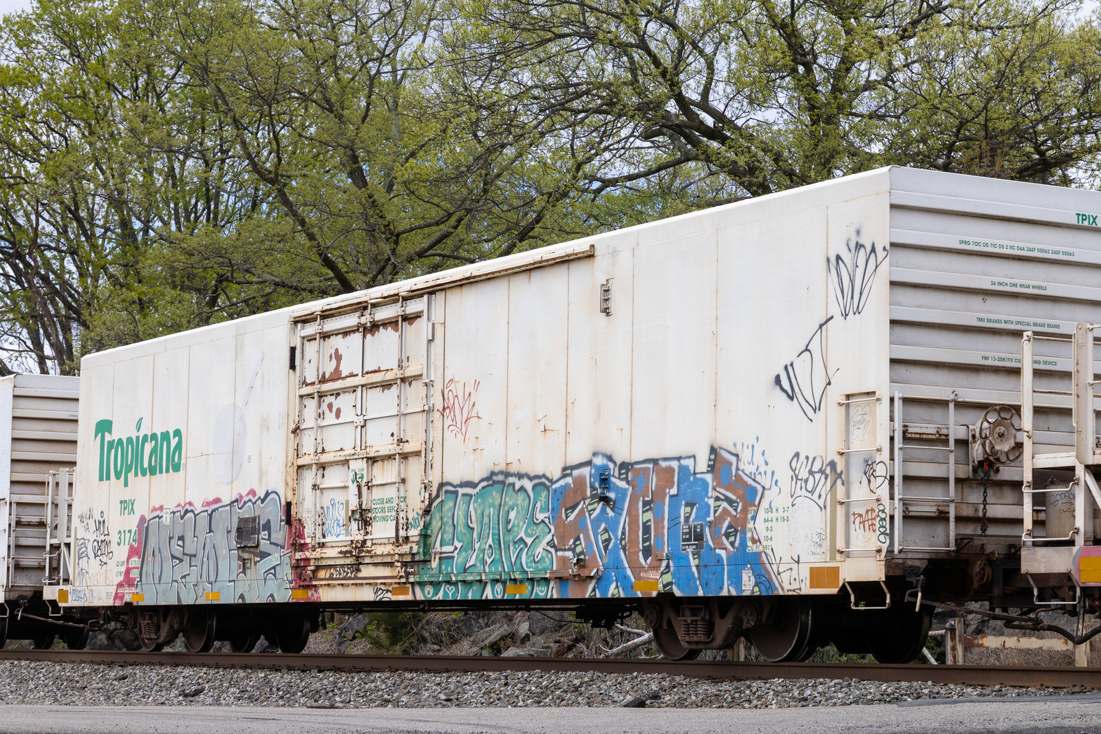 TPIX 3174