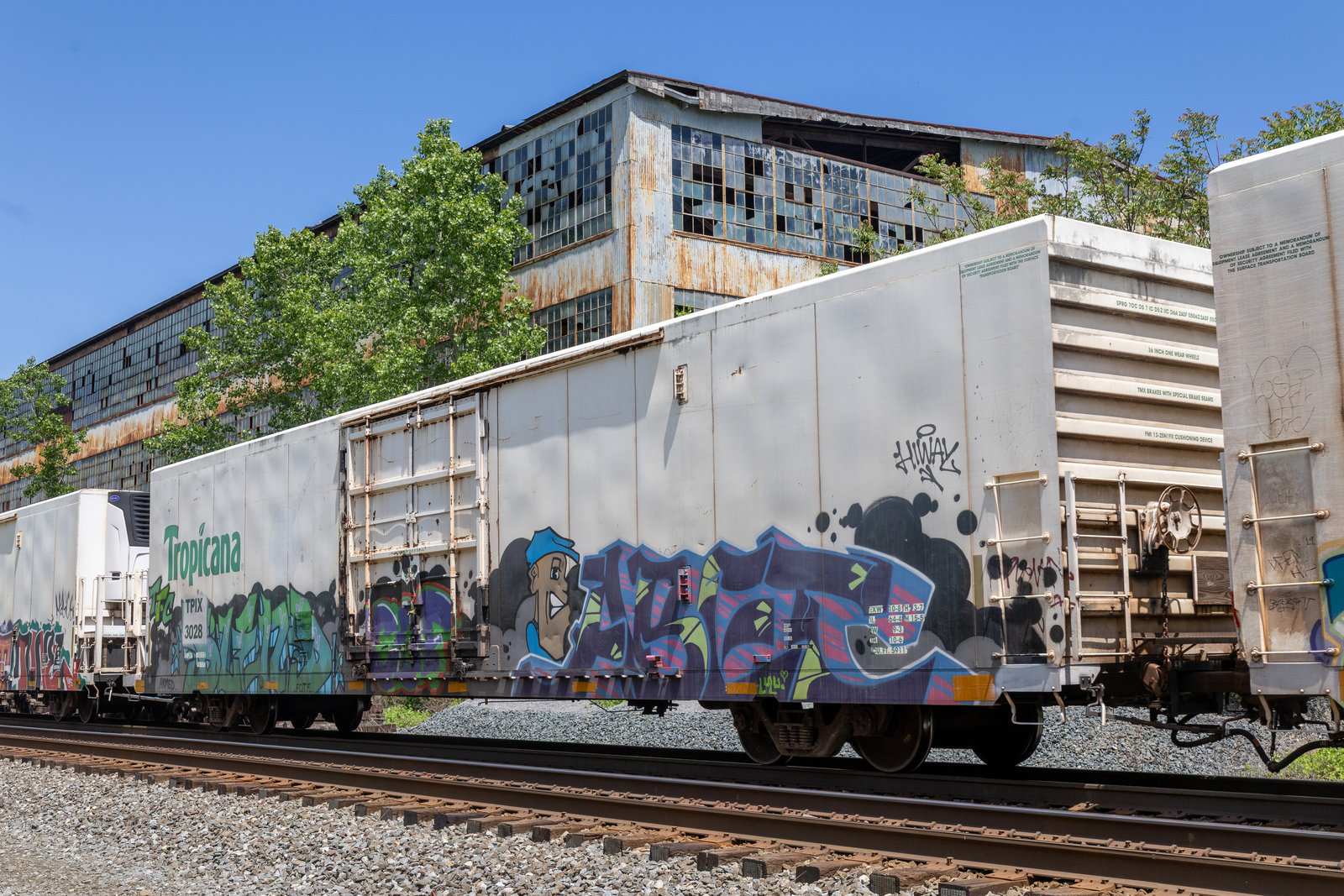 TPIX 3028